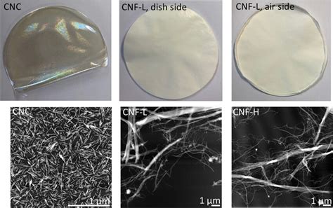 nanocellulose impact testing|nanocellulose pictures.